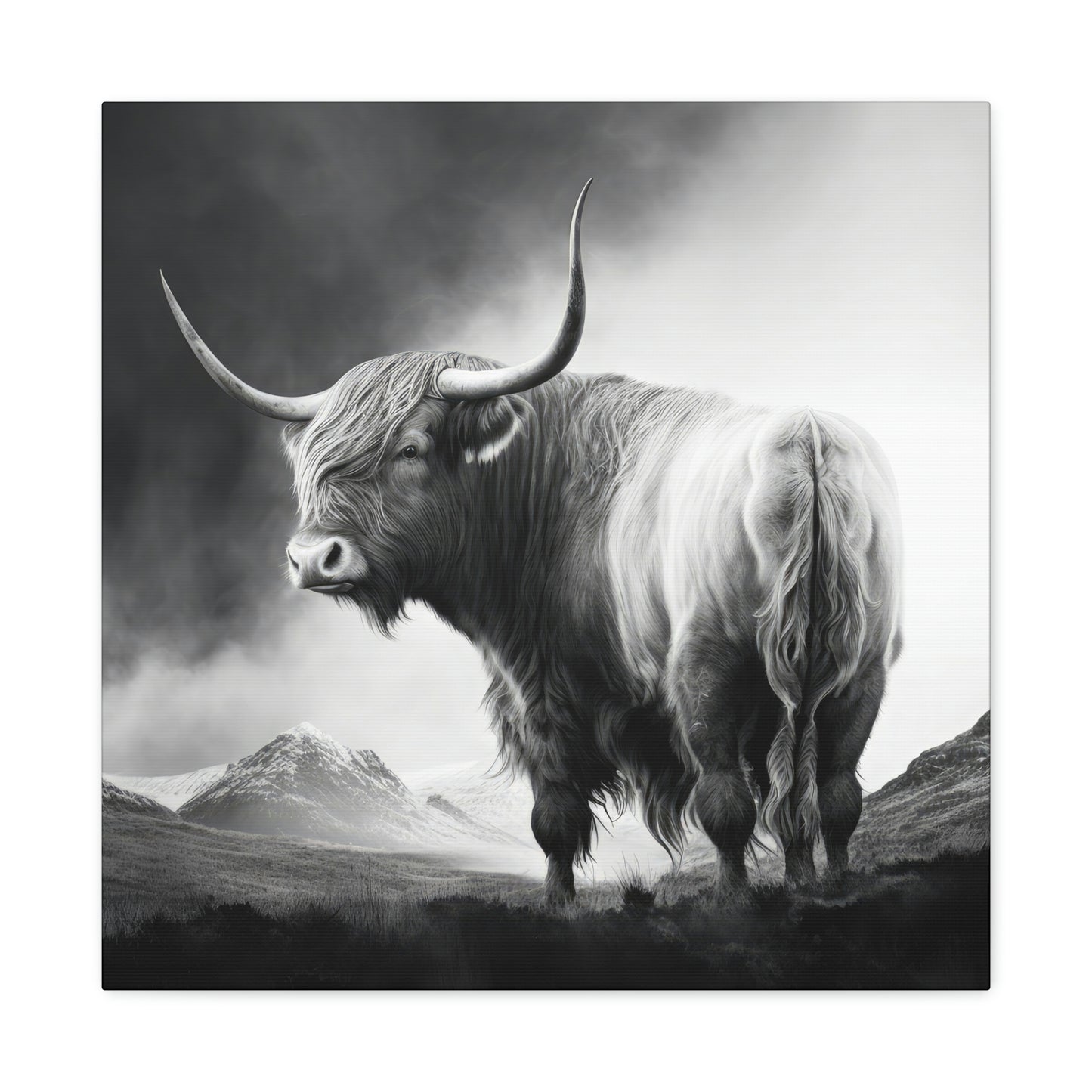 Embodying Bold and Beauty