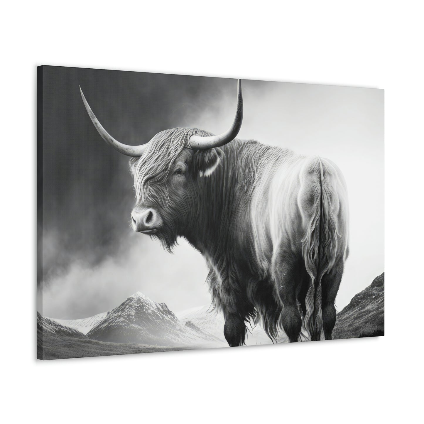 Embodying Bold and Beauty