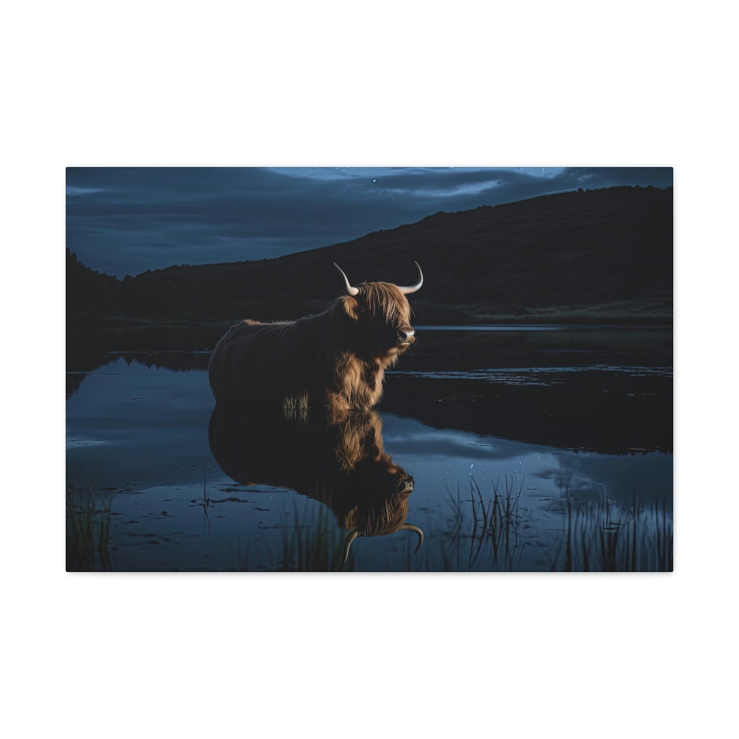 Moonlight Reflection