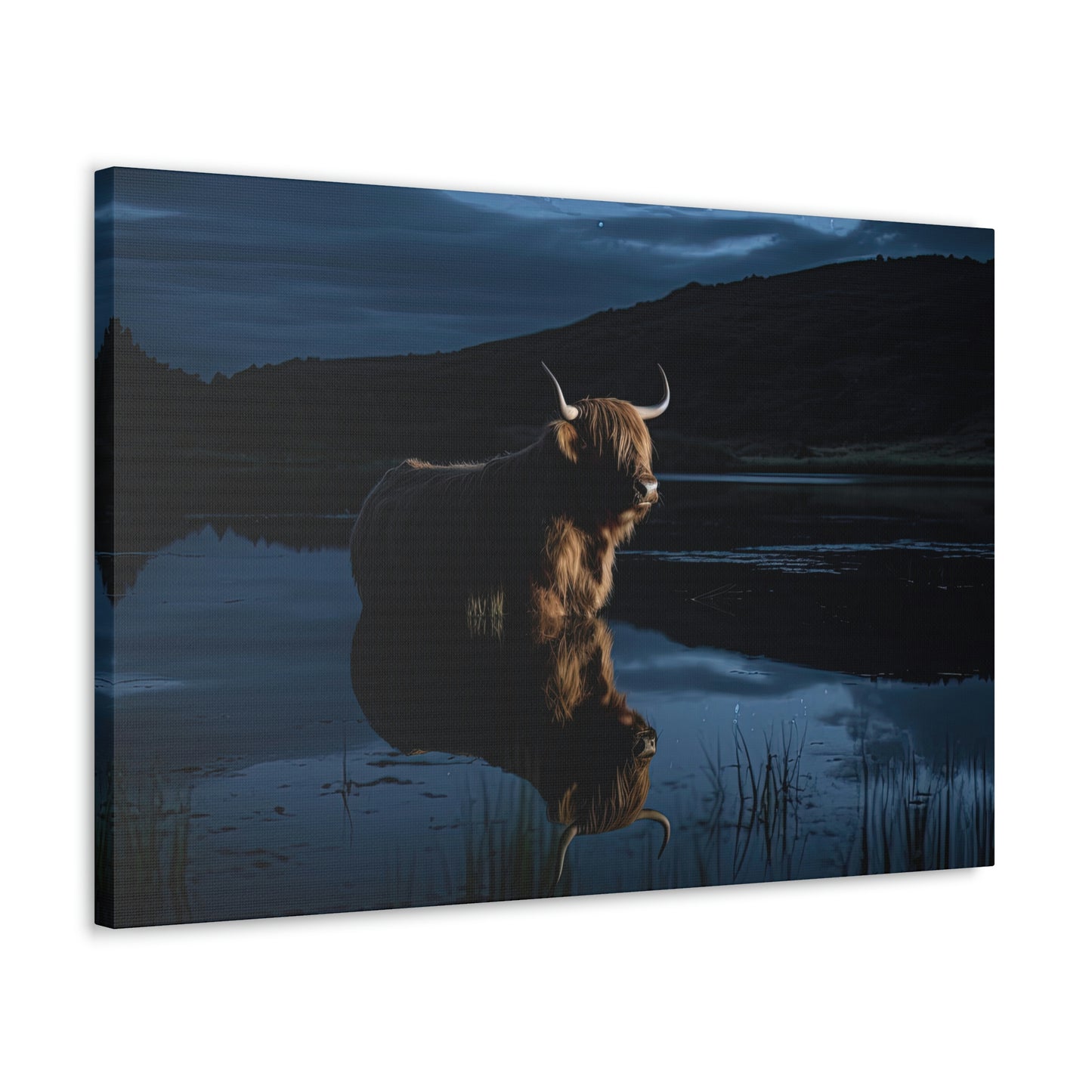 Moonlight Reflection