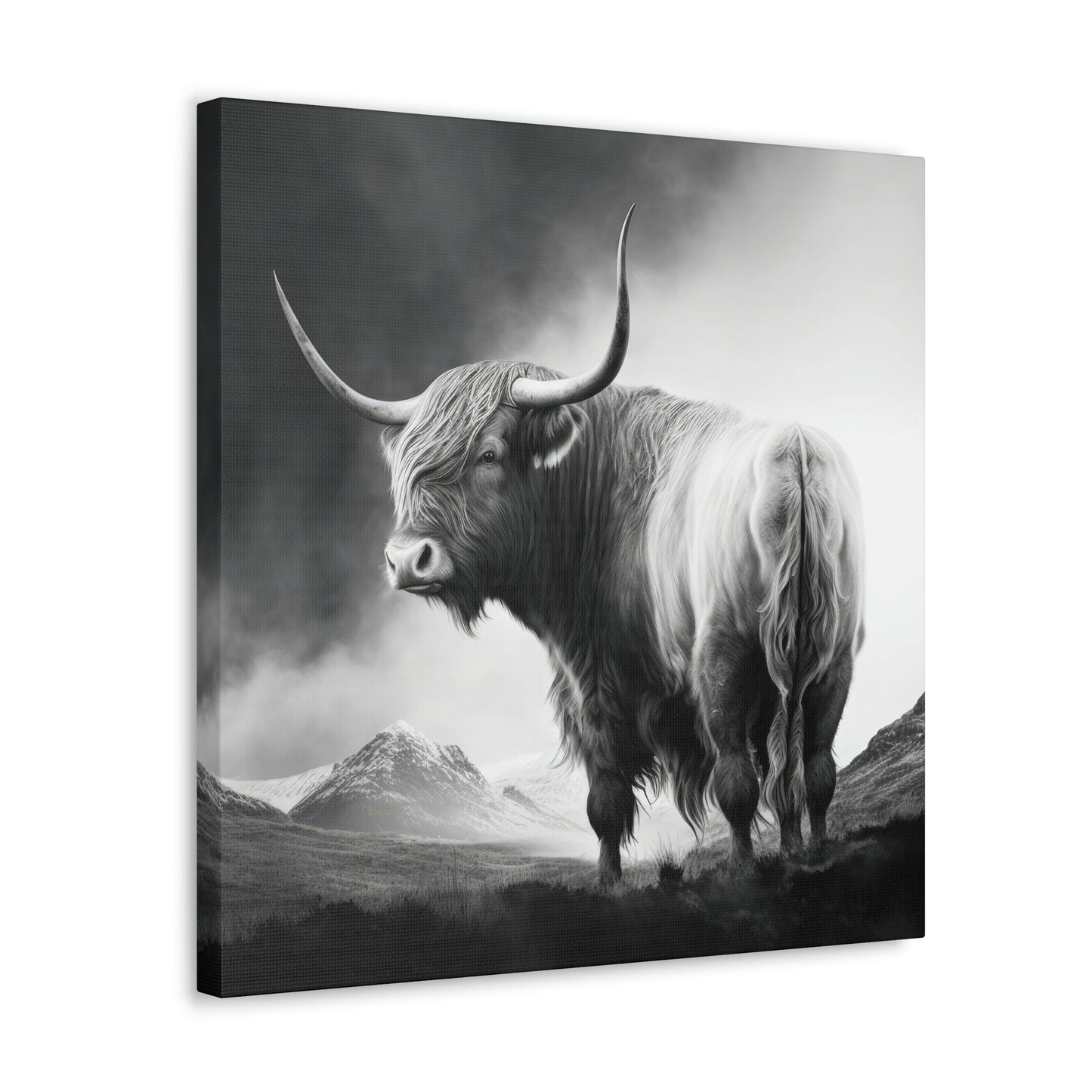 Embodying Bold and Beauty