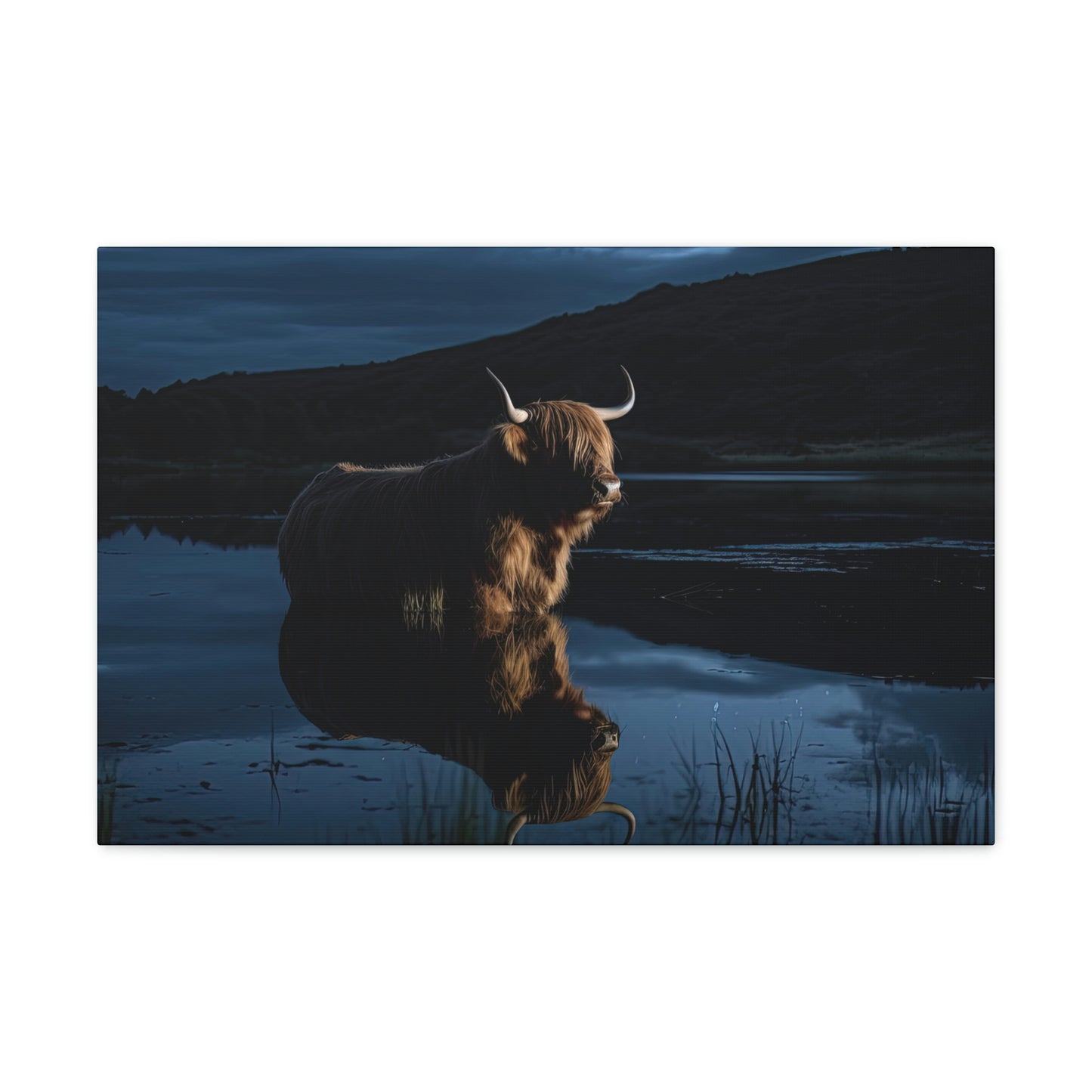 Moonlight Reflection