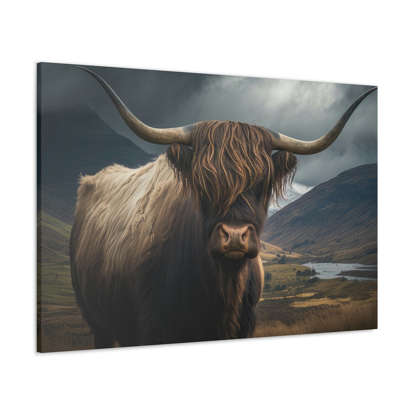 A Highland Cow's Tranquil Cloudscape