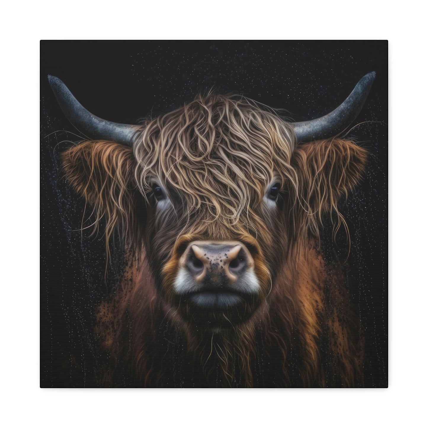 Tender Gaze: The Deep, Expressive Eyes of a Highland Cow